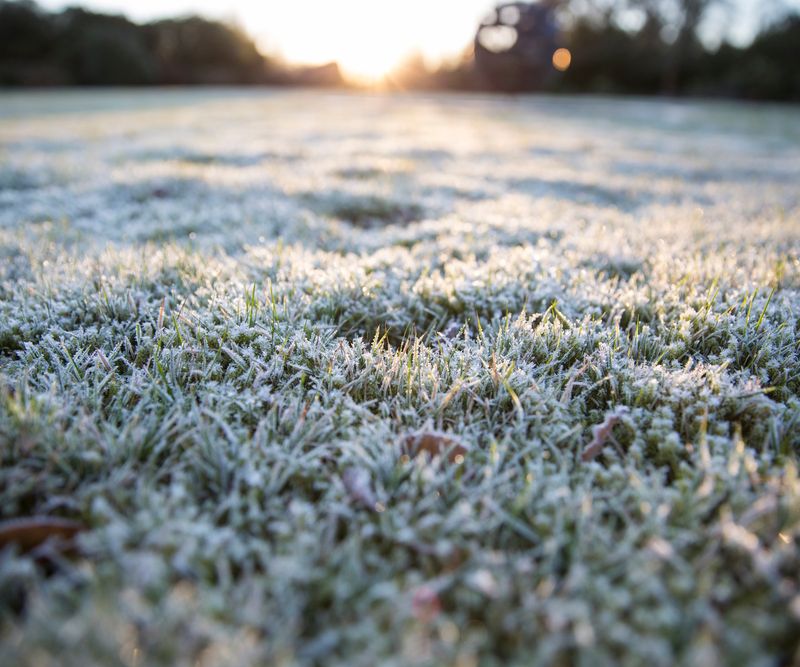 Never Spread Fertilizer On Frozen Ground Never Spread Fertilizer On Frozen Ground