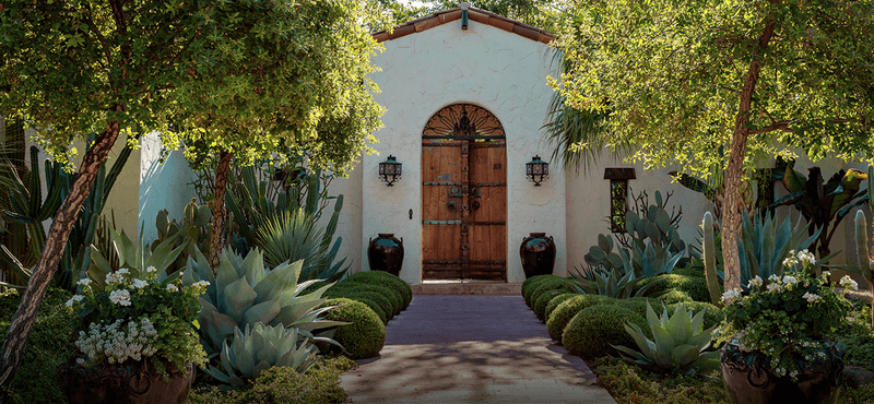 New plantings and established trees need different care
