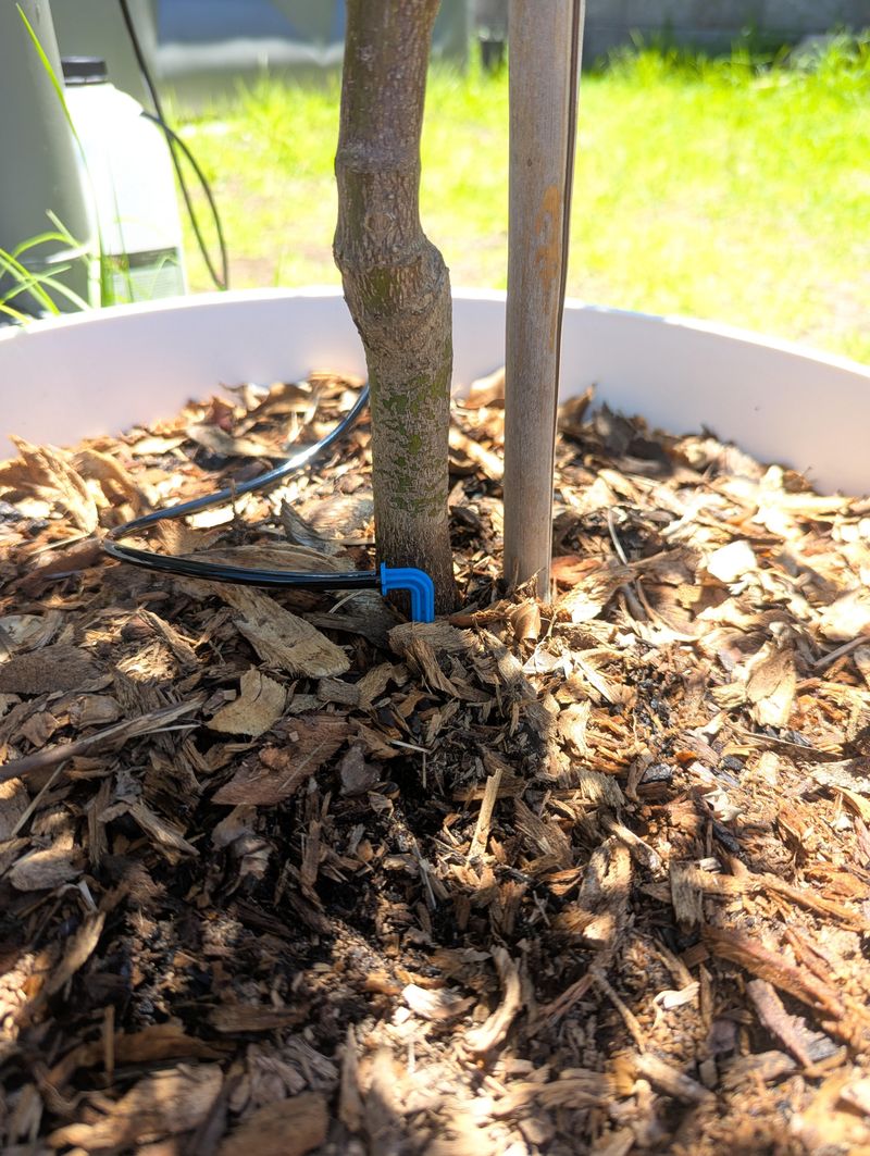 Next Spring Starts With A Tidy Yard This Fall