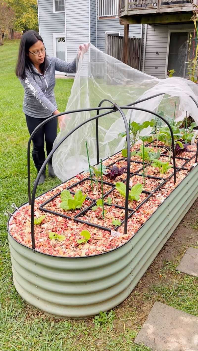 Next Year's Frost-Ready Garden Plan Next Year's Frost-Ready Garden Plan