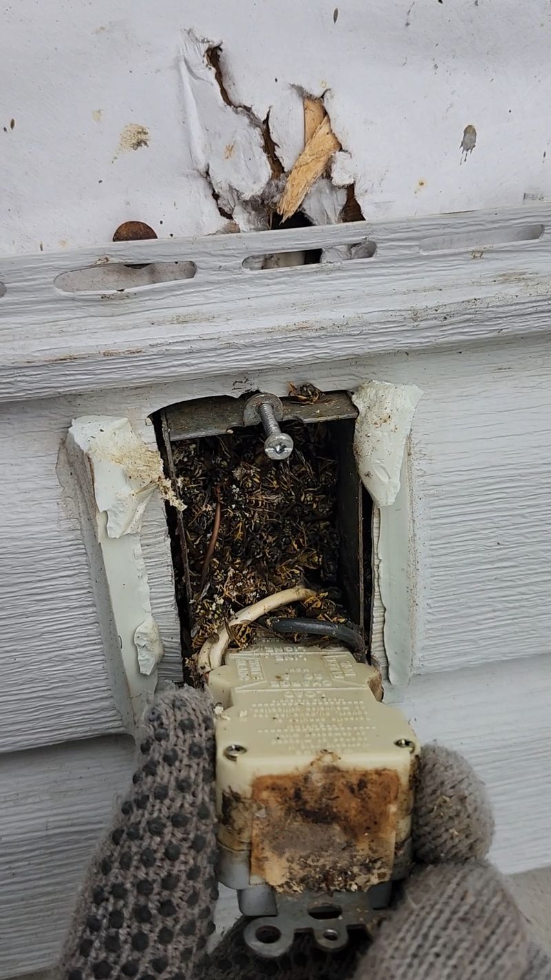 Next Year's Nests Often Start Nearby Next Year's Nests Often Start Nearby