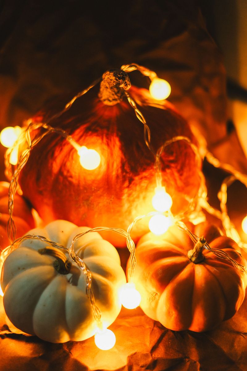 No Carve Pumpkins Wrapped In LED String Lights No Carve Pumpkins Wrapped In LED String Lights