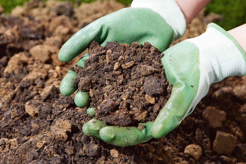 North Carolina Clay Soil Craves Organic Matter North Carolina Clay Soil Craves Organic Matter