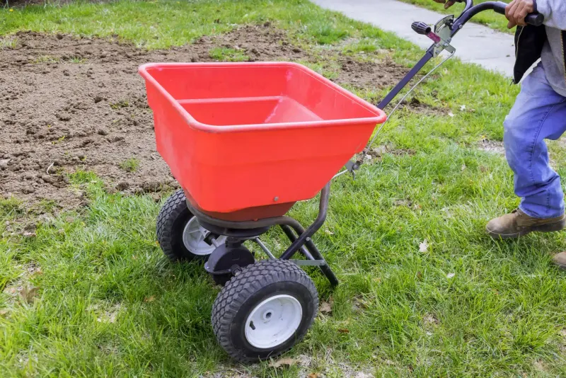 North Florida Lawns Should Wait Until April 15 North Florida Lawns Should Wait Until April 15