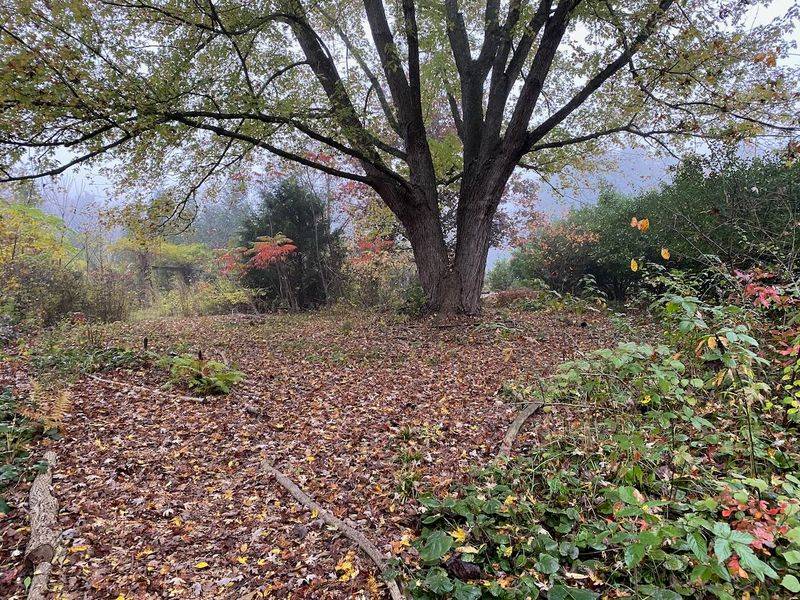 Not Every Spot In Your Yard Needs A Leaf Layer