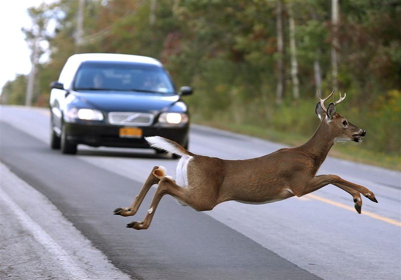 November Is The Most Dangerous Month On The Road