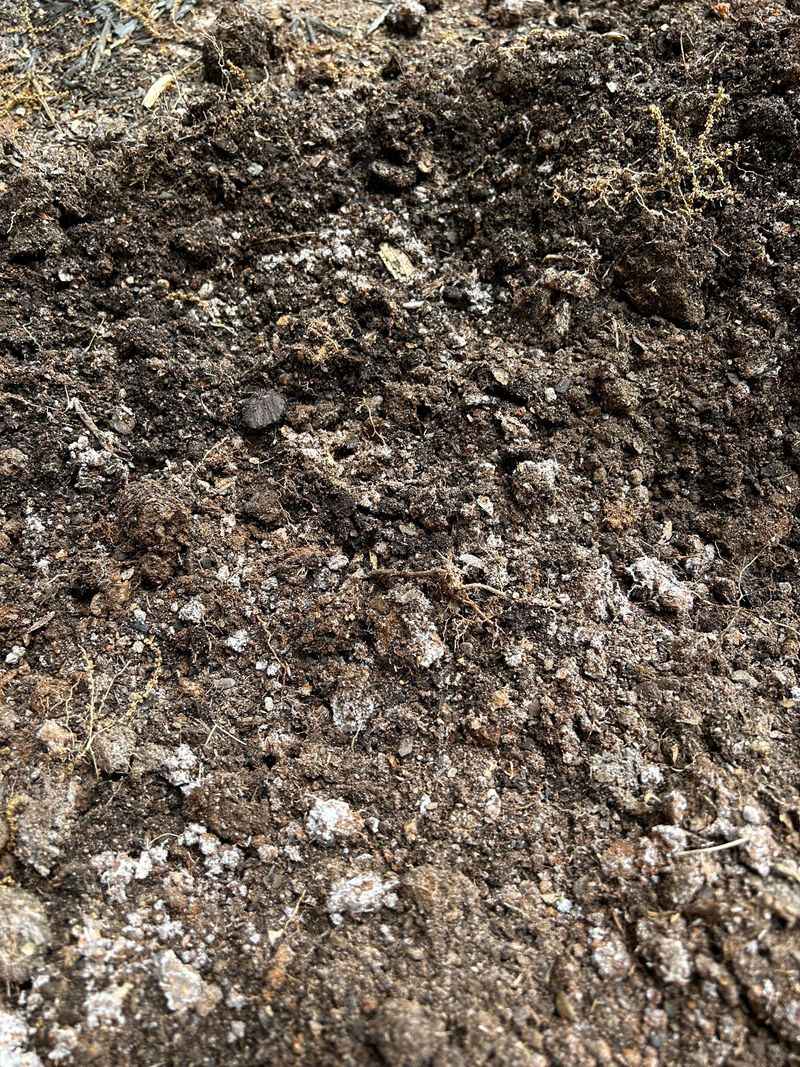 Nutrient Buildup Left Over From Summer Feeding