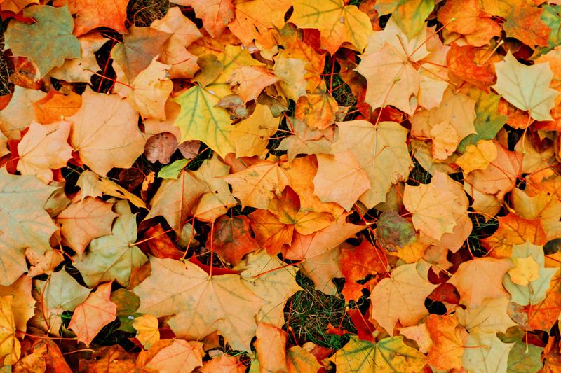 October And November As The Sweet Spot