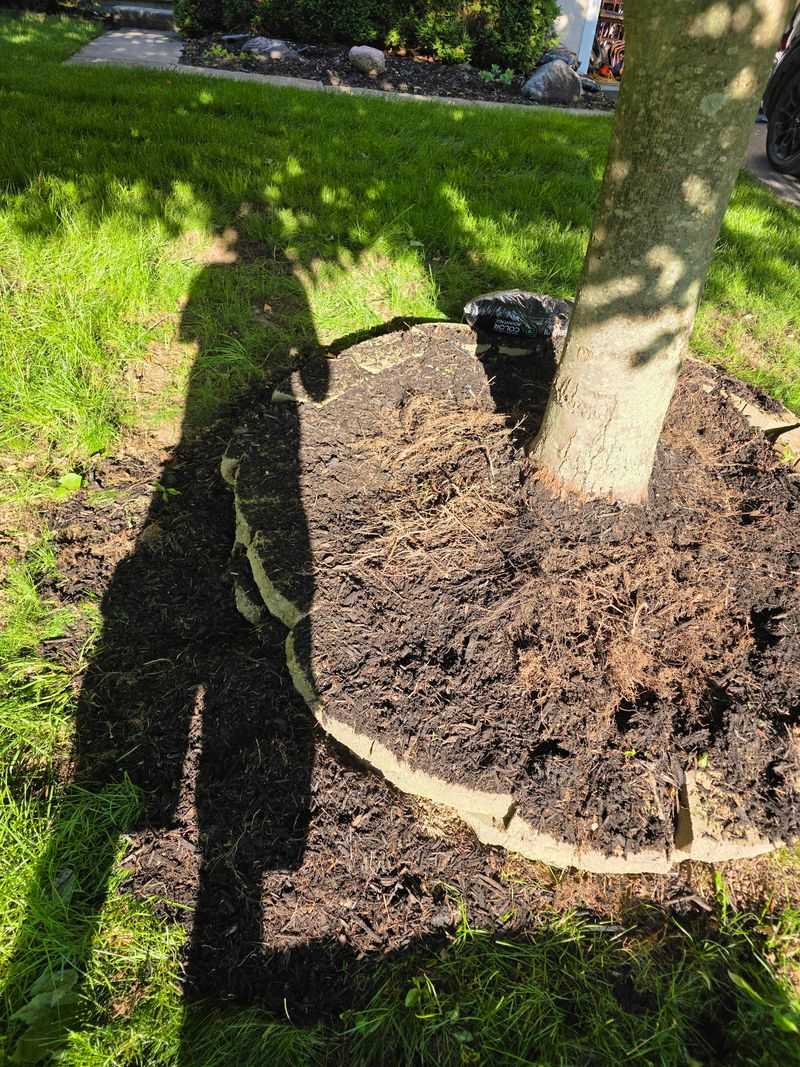 October Gives Roots A Calm Window