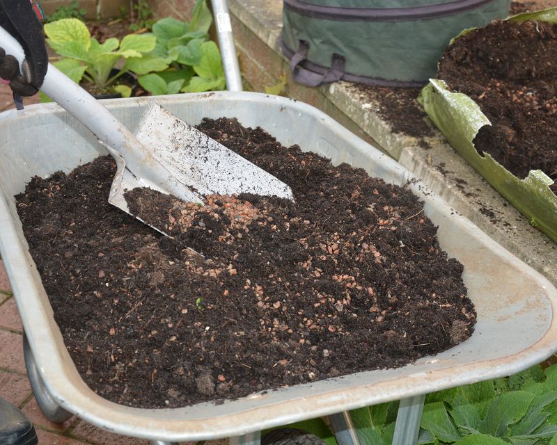 October Is The Best Month To Add Compost October Is The Best Month To Add Compost