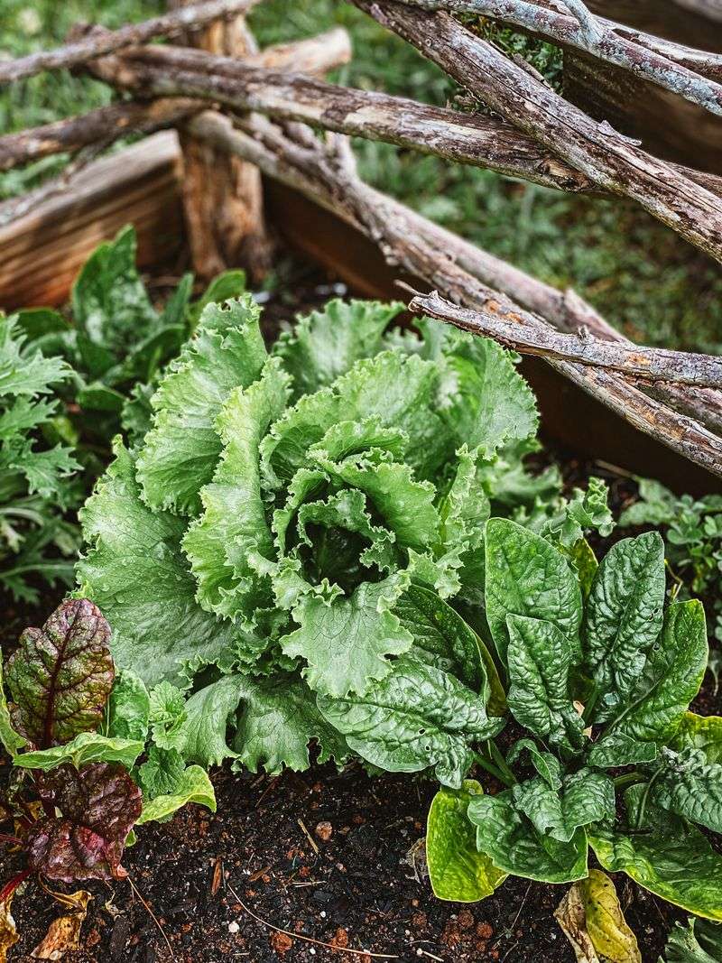 October Is The Sweet Spot For Compost Timing In California