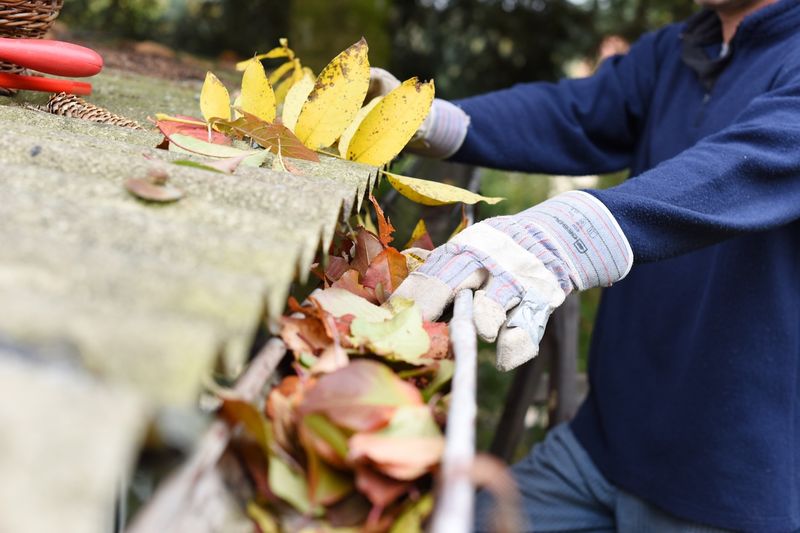 October Is Your Best Window To Prep Before Winter Storms