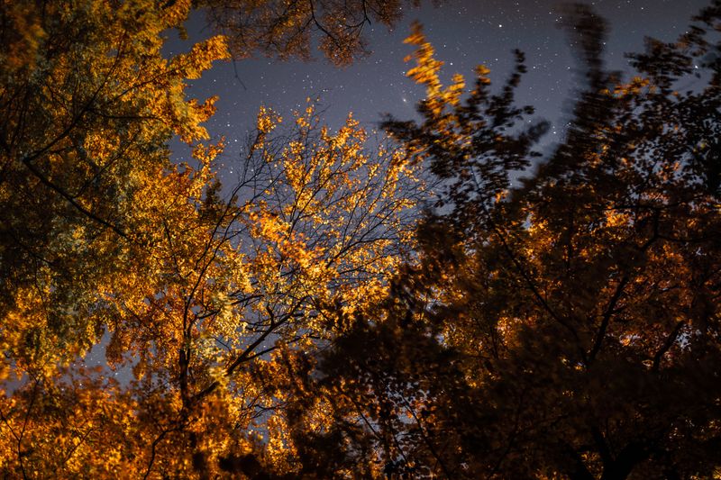 October Nights And The Peak Of The Journey October Nights And The Peak Of The Journey