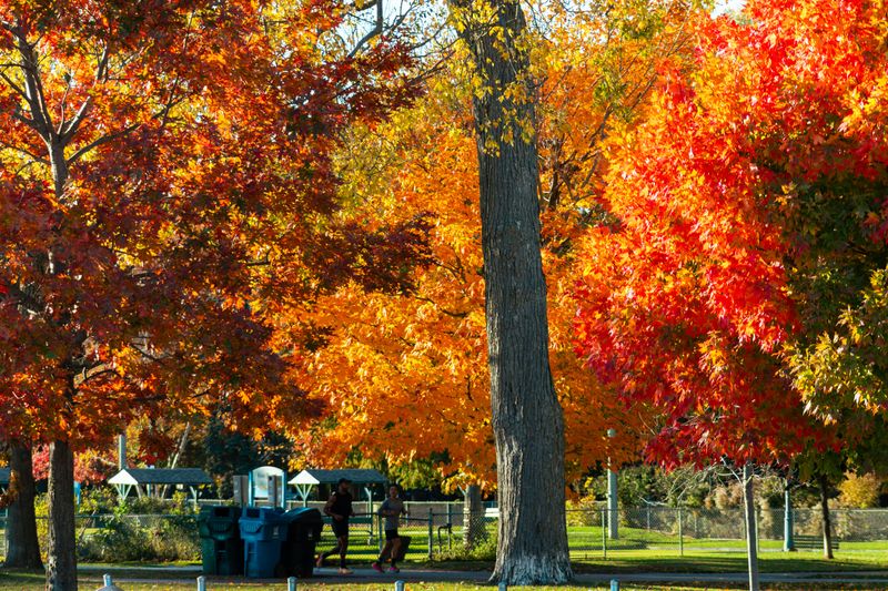 October Rush Before The Cold Arrives