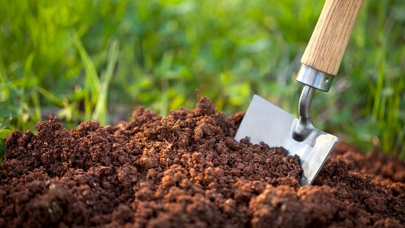 October Soil Conditions In Indiana That Affect Results October Soil Conditions In Indiana That Affect Results