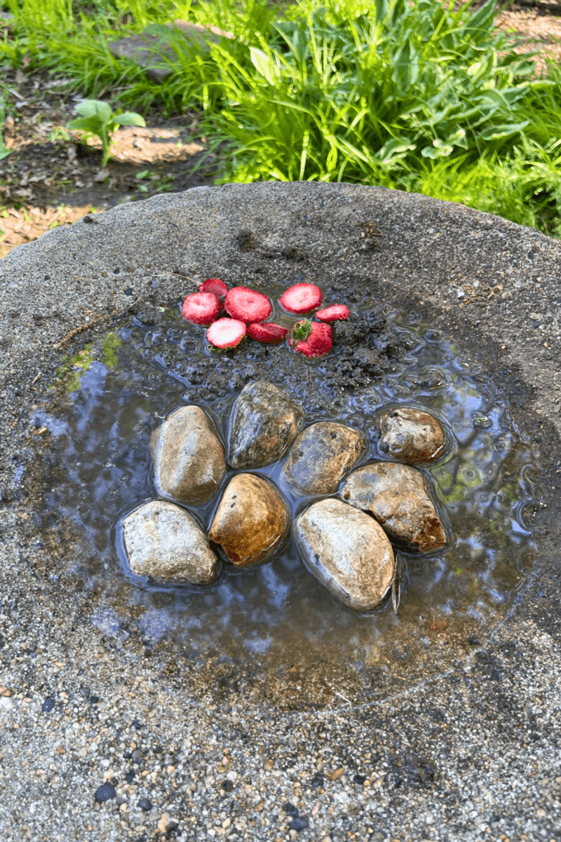 Offer Shallow Water With Landing Stones Offer Shallow Water With Landing Stones