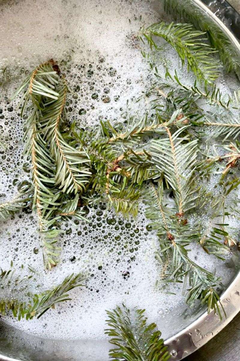 Offers A Natural Alternative To Synthetic Air Fresheners