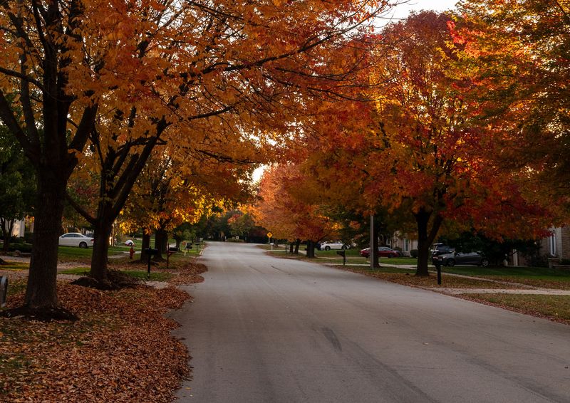 Ohio Law Requires Owners To Follow Recorded Covenants And Rules