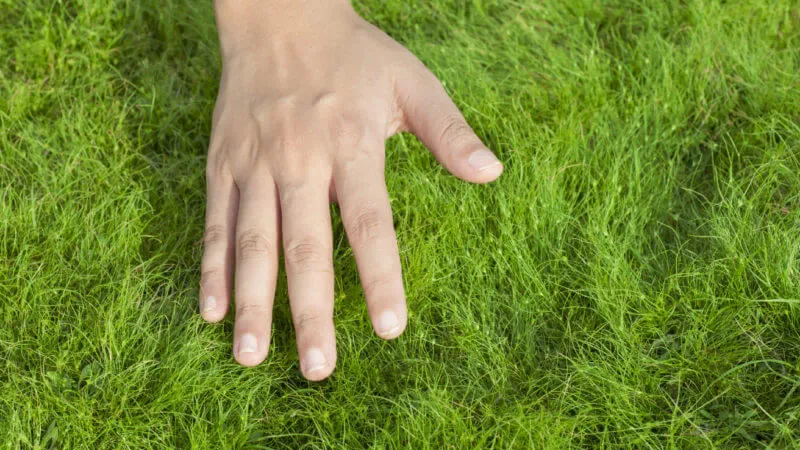 Ohio Soil Stays Warm While The Air Cools
