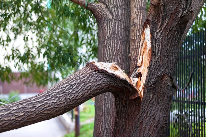 Old Storm Damage Rarely Resolves Alone