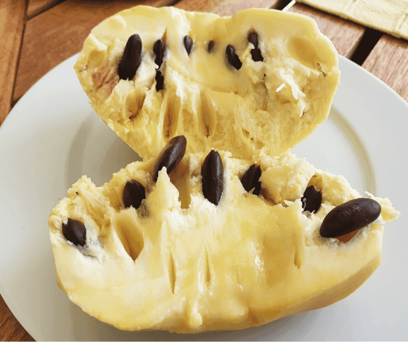 One Bite of Creamy Pawpaw Pulp Tastes Like a Banana Mango Mashup One Bite of Creamy Pawpaw Pulp Tastes Like a Banana Mango Mashup