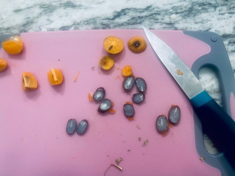 Only Wild American Persimmons Work For The Test Only Wild American Persimmons Work For The Test