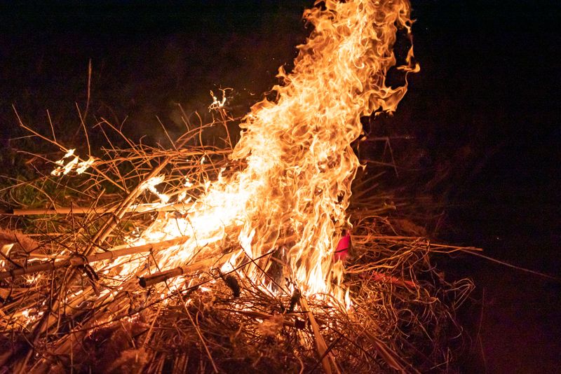 Open Backyard Burn Piles Open Backyard Burn Piles