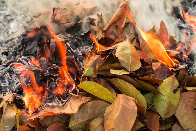 Open Burning Of Yard Waste Is Generally Prohibited Open Burning Of Yard Waste Is Generally Prohibited
