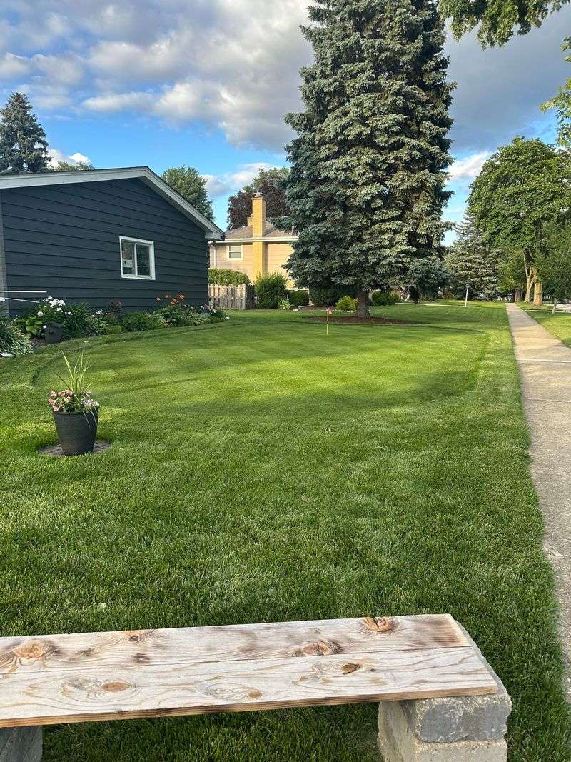 Open Lawn Edges That Leave Small Birds Feeling Watched
