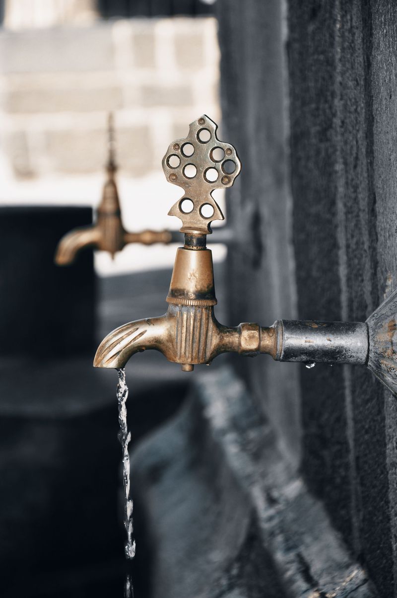 Open The Outdoor Spigot And Let It Drain