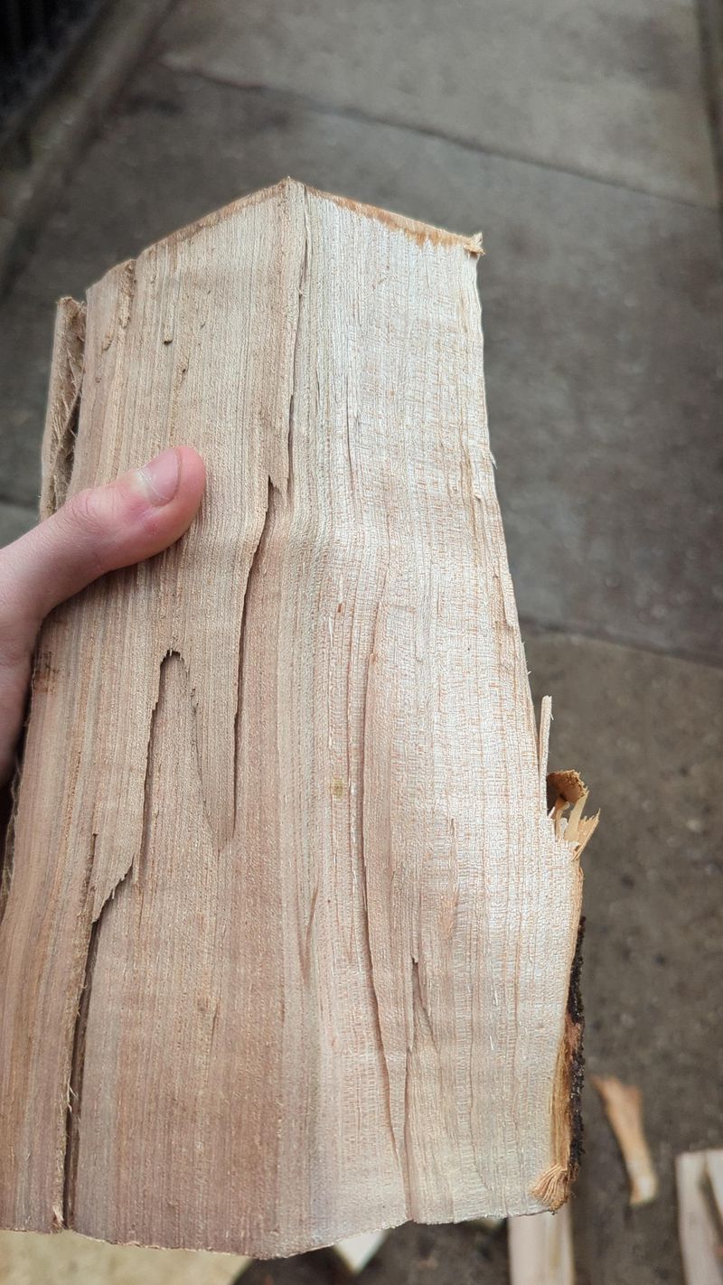 Out-Of-State Firewood Is Banned Unless Heat-Treated