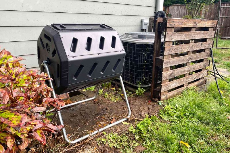 Outsmart City Rats With A Sealed Bin