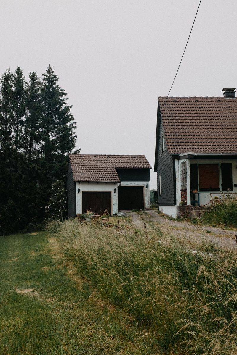 Overgrown Front Lawns Overgrown Front Lawns