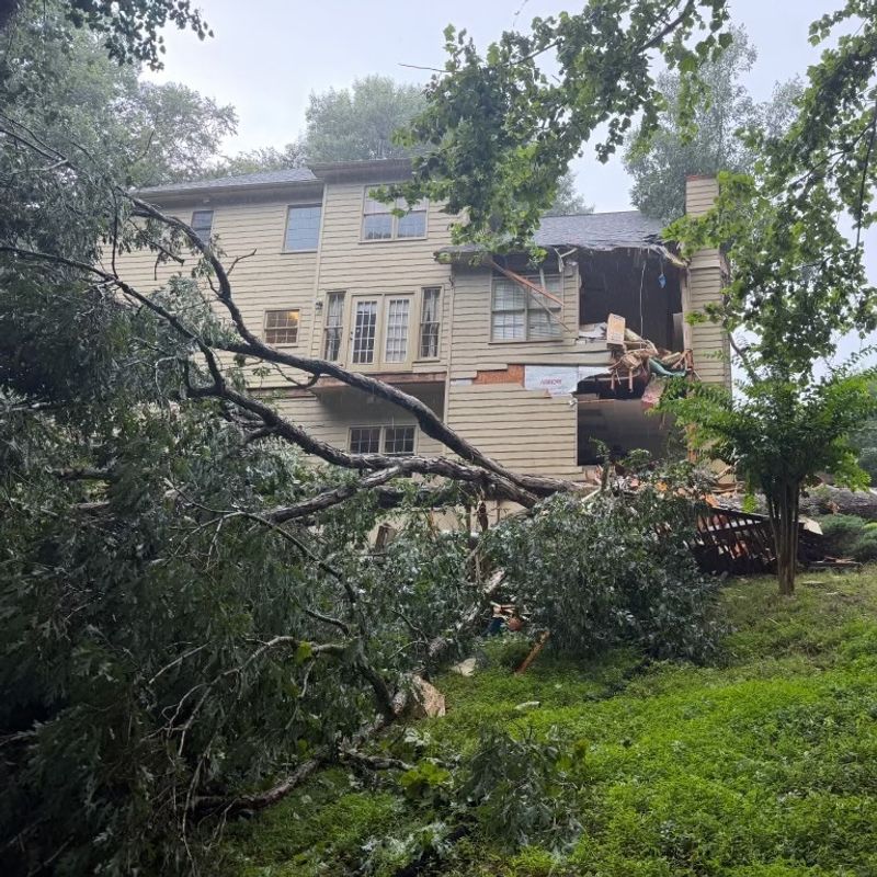 Overhanging Limbs Become A Bigger Concern During Severe Weather Overhanging Limbs Become A Bigger Concern During Severe Weather