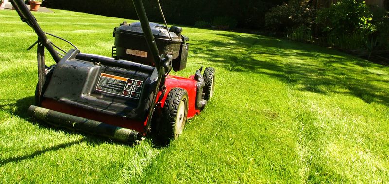 Overseeded Lawns Need Mowing All Winter