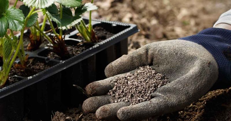 Pair Compost With Fertilizer For Steady Nutrients Pair Compost With Fertilizer For Steady Nutrients