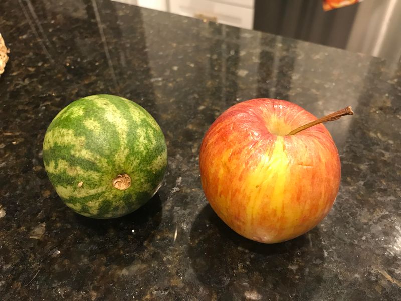 Pair Them With Ripe Apples In A Paper Bag Pair Them With Ripe Apples In A Paper Bag