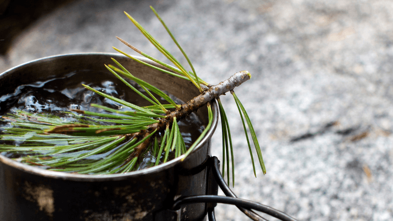 Pairs Beautifully With Fall Kitchen Scraps