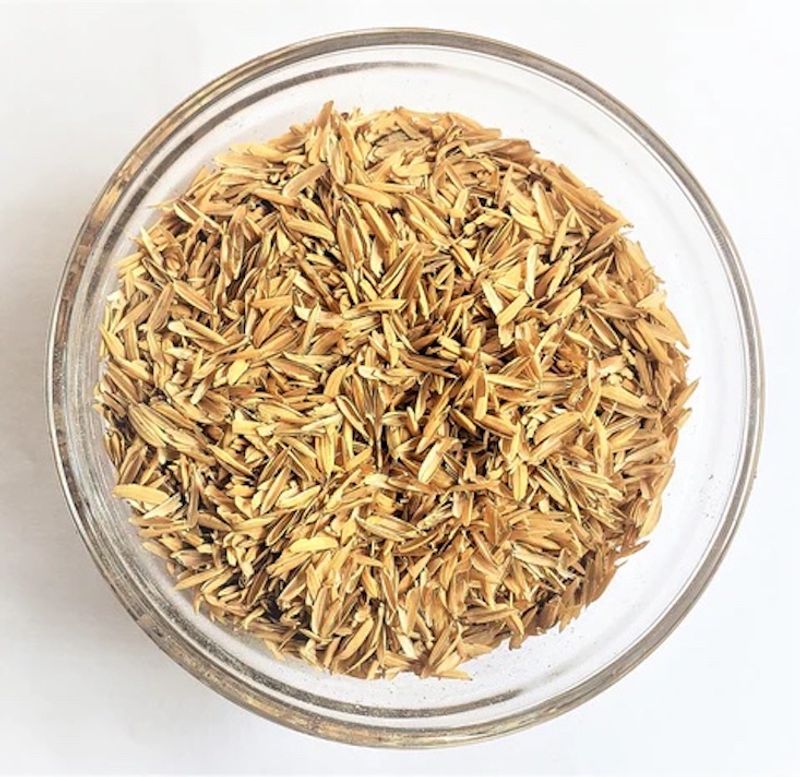 Parboiled Rice Hulls As A Lightweight Perlite Swap Parboiled Rice Hulls As A Lightweight Perlite Swap