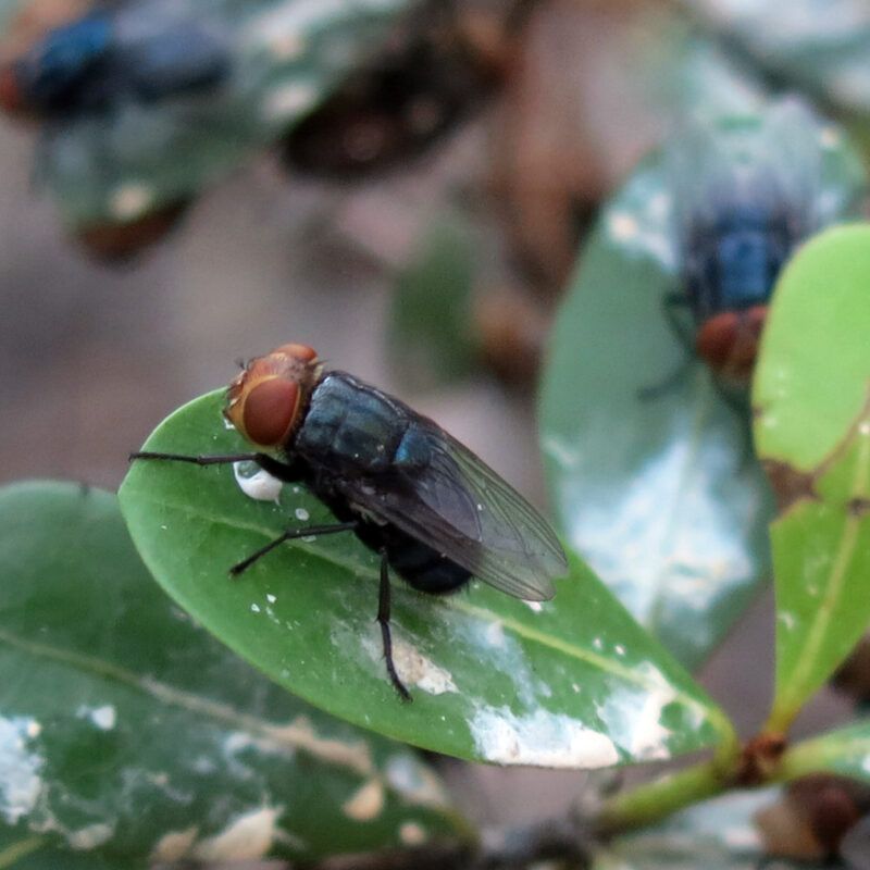 Part Of A Bigger Outbreak Across The Region
