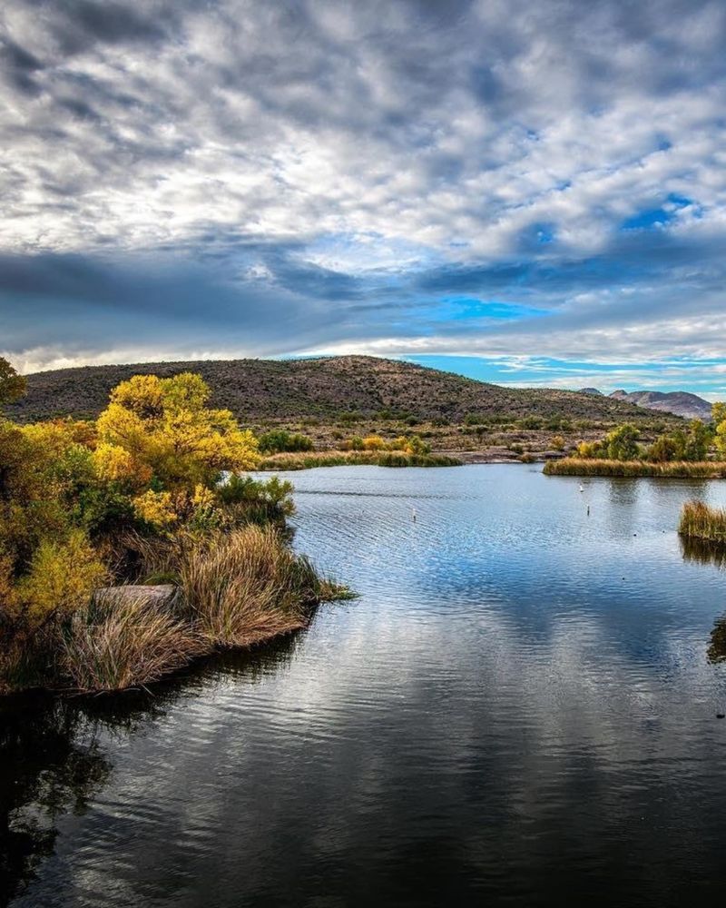 Patagonia Lake State Park