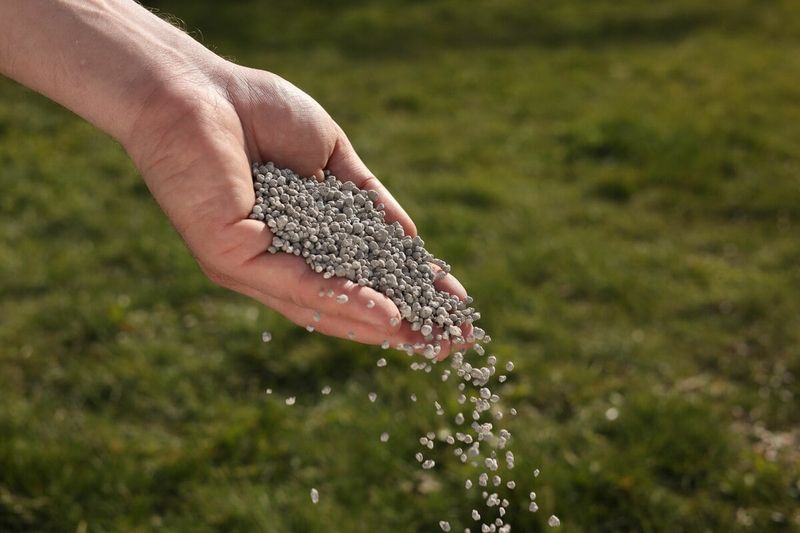 Patience Before Pushing Fertilizer Patience Before Pushing Fertilizer