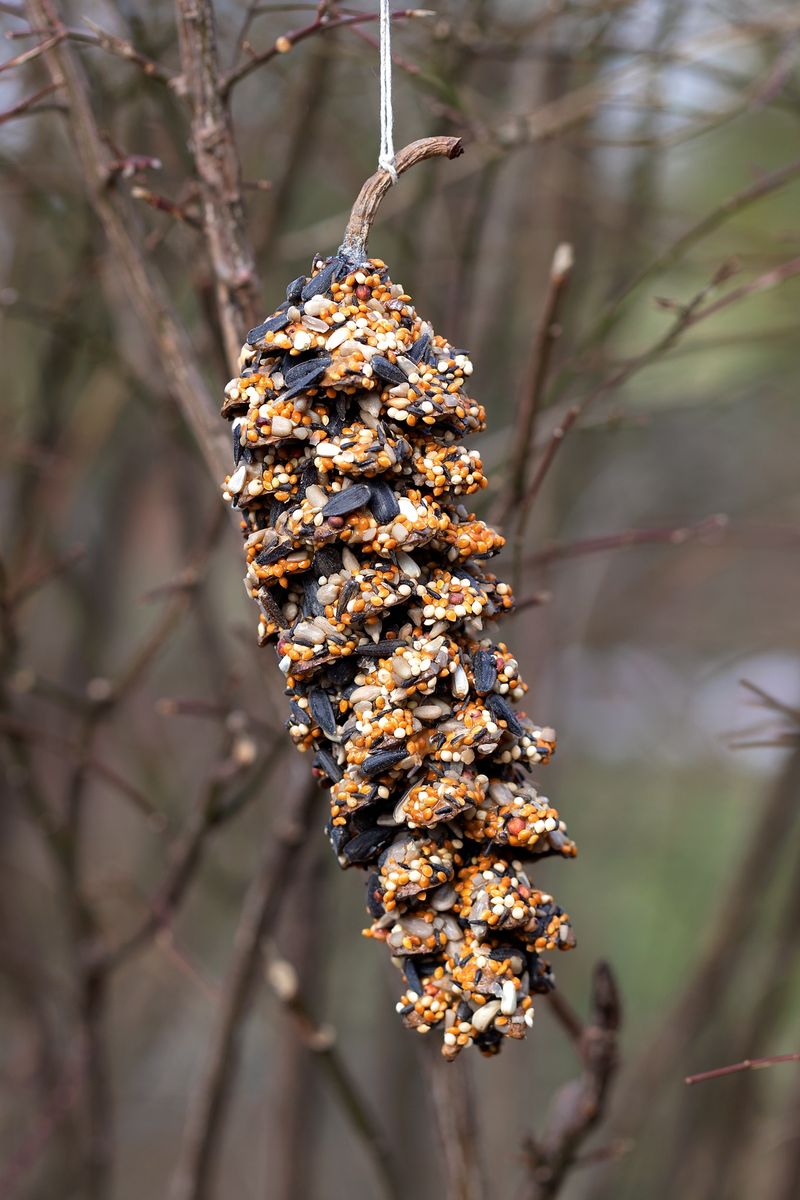 Peanut Butter And Seed Turn Them Into Bird Feeders