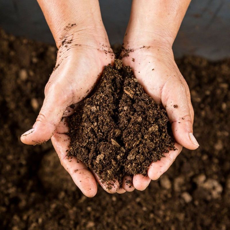 Peat-Heavy Soil Repels Water When Dry