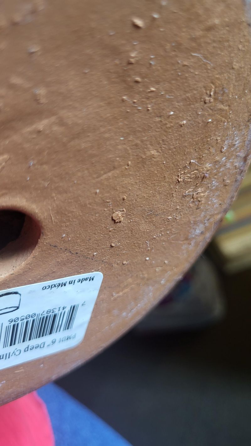 Peek Into Drainage Holes For Hitchhikers