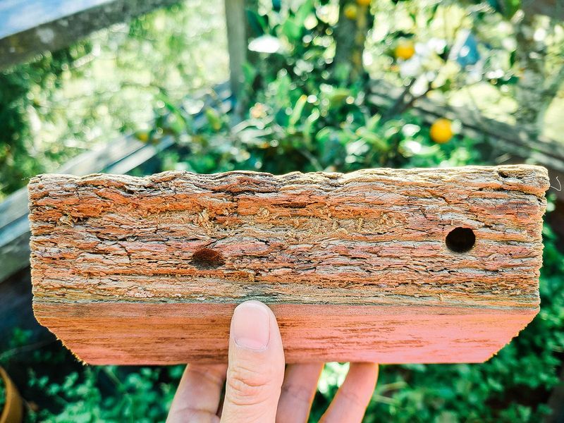 Perfectly Round Entry Holes