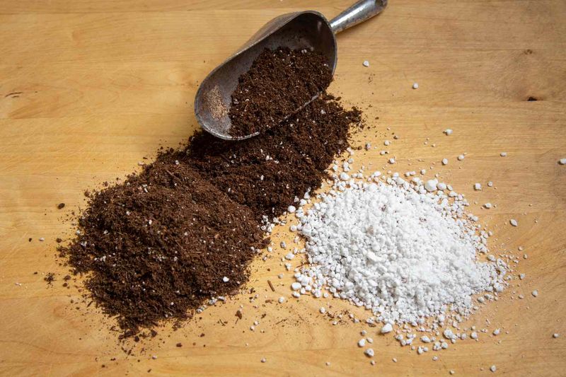 Perlite For Extra Air Pockets Perlite For Extra Air Pockets