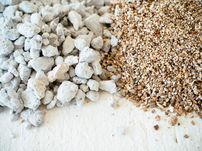 Perlite Works In Place Of Vermiculite