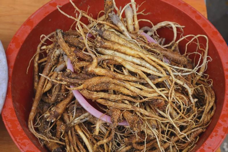 Permit Paperwork For Selling Roots