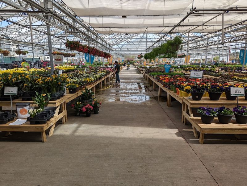 Petitti Has Ten Locations Across Northeast Ohio Petitti Has Ten Locations Across Northeast Ohio